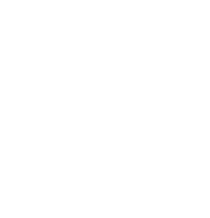 Security Icon